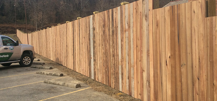 Cambium Style Privacy Fence